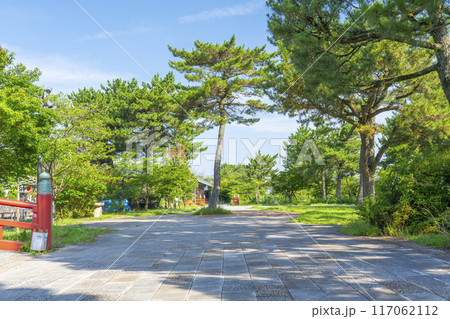 京都宇治 中の島地区 塔の島 京都宇治 中の島地区 塔の島 117062112