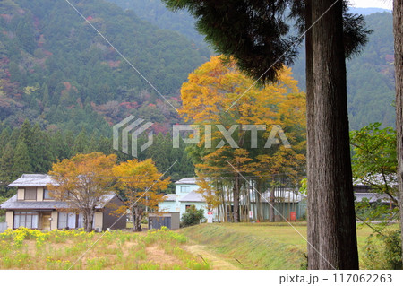 名もなき池（通称：モネの池）散策・4（岐阜県関市板取） 117062263