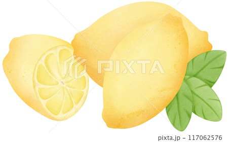 yellow lemon 117062576