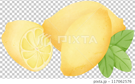 yellow lemon 117062576
