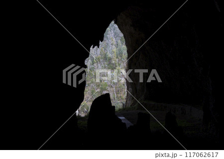 Looking out of the entrance to Yarrangobilly Caves in the Snowy Mountains Looking out of the entrance to Yarrangobilly Caves in the Snowy Mountains 117062617