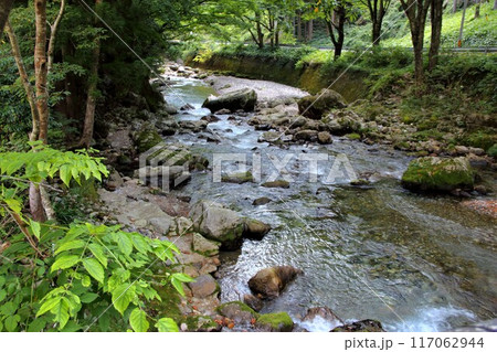円原の伏流水散策・17（岐阜県山県市円原地区） 117062944