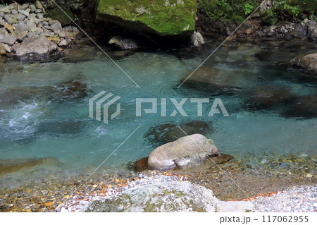 円原の伏流水散策・28（岐阜県山県市円原地区） 117062955