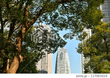 新宿西口 117063028