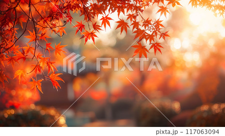 秋の紅葉と日本庭園 秋の紅葉と日本庭園 117063094