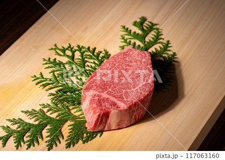 牛肉 シャトーブリアン 牛肉 シャトーブリアン 117063160
