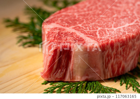 牛肉 シャトーブリアン 牛肉 シャトーブリアン 117063165