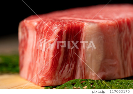 牛肉 シャトーブリアン 牛肉 シャトーブリアン 117063170