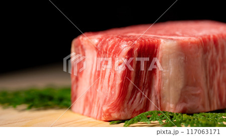 牛肉 シャトーブリアン 牛肉 シャトーブリアン 117063171