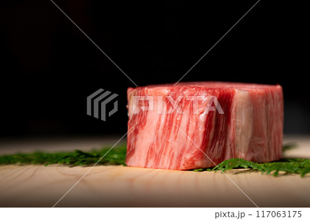 牛肉 シャトーブリアン 牛肉 シャトーブリアン 117063175