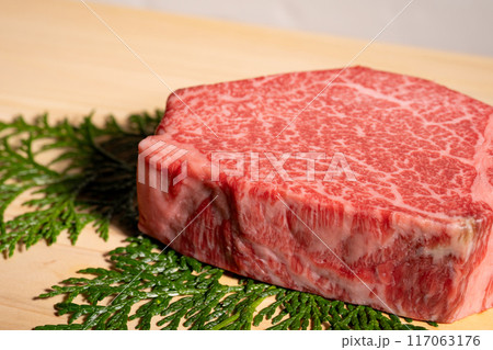 牛肉 シャトーブリアン 牛肉 シャトーブリアン 117063176