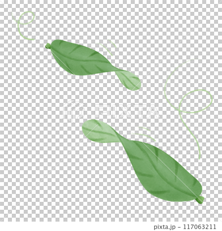 Fluttering leaves 117063211