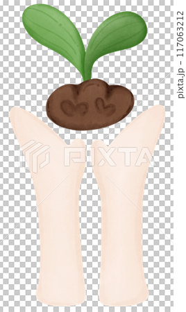 hand holding a plant 117063212