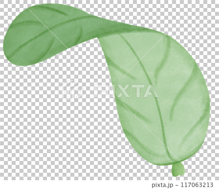 green leaf isolated green leaf isolated 117063213
