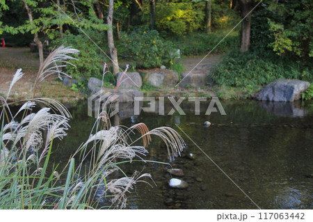 秋の木曽三川公園(河川環境楽園)散策・31 秋の木曽三川公園(河川環境楽園)散策・31 117063442