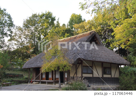 秋の木曽三川公園（河川環境楽園）散策・35 117063446