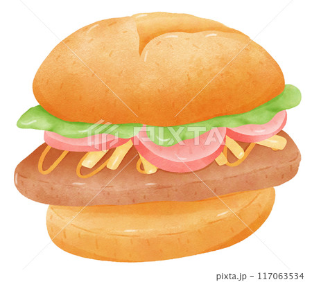 Burger and fries Burger and fries 117063534