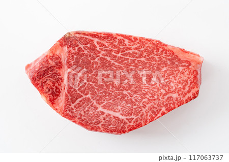 牛肉　シャトーブリアン 117063737