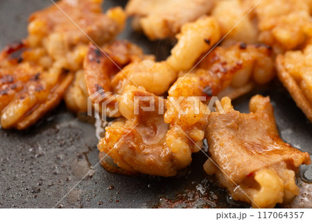 焼肉でホルモンのシマチョウを焼く 焼肉でホルモンのシマチョウを焼く 117064357