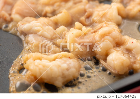 焼肉でホルモンのシマチョウを焼く 焼肉でホルモンのシマチョウを焼く 117064428