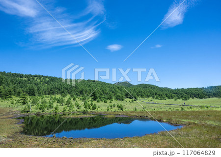 天空の散歩道 池の平湿原 天空の散歩道 池の平湿原 117064829