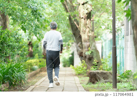 ウォーキングをするシニア男性 ウォーキングをするシニア男性 117064981