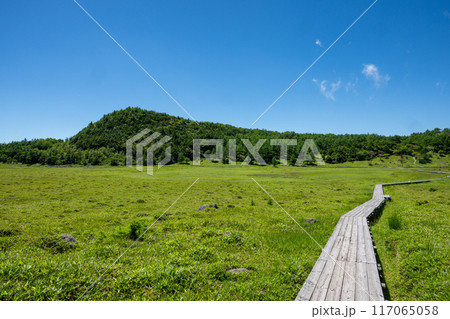 天空の散歩道 池の平湿原 117065058