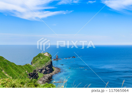 北海道 積丹半島 神威岬 117065064