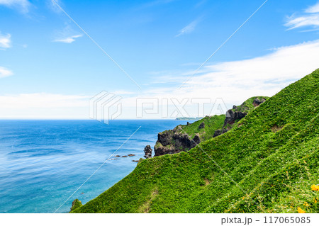 北海道 積丹半島 神威岬 117065085