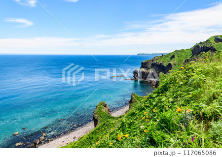 北海道 積丹半島 神威岬 117065086