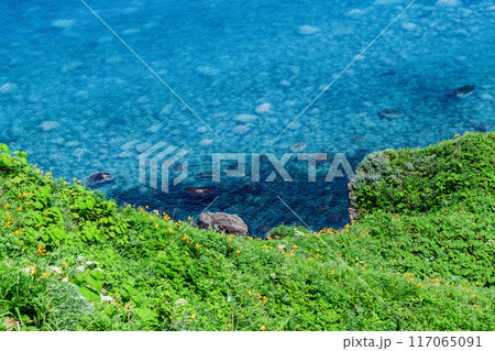 北海道 積丹半島 神威岬 北海道 積丹半島 神威岬 117065091