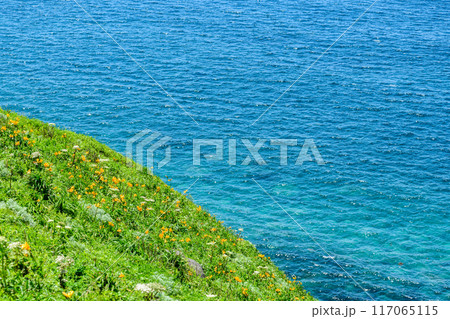 北海道 積丹半島 神威岬 北海道 積丹半島 神威岬 117065115