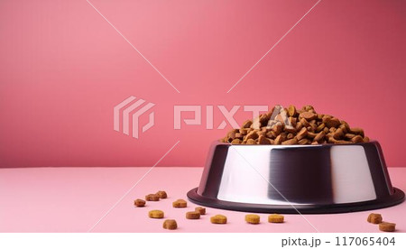 金属製の犬用の食器に入ったドッグフードとコピースペース 金属製の犬用の食器に入ったドッグフードとコピースペース 117065404