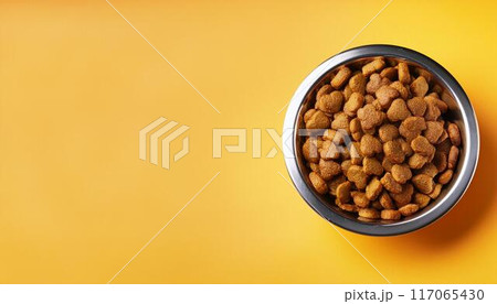金属製の犬用の食器に入ったドッグフードとコピースペース 117065430