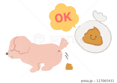 犬の散歩　うんちのマナー 117065431