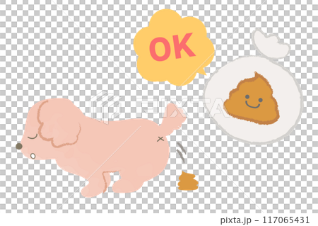 犬の散歩　うんちのマナー 117065431