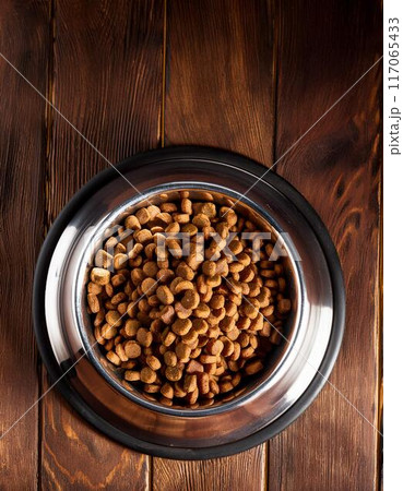 金属製の犬用の食器に入ったドッグフードとコピースペース 117065433