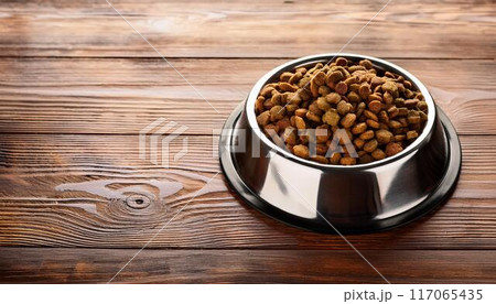 金属製の犬用の食器に入ったドッグフードとコピースペース 117065435