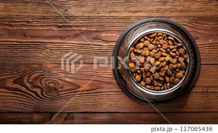 金属製の犬用の食器に入ったドッグフードとコピースペース 金属製の犬用の食器に入ったドッグフードとコピースペース 117065436