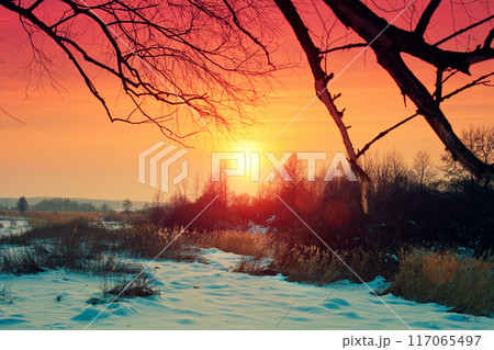 Beautiful winter rural sunset Beautiful winter rural sunset 117065497