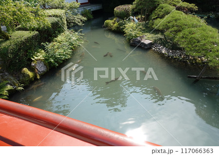 佐賀　祐徳稲荷神社 117066363