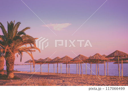 Tropical beach scenery with sun parasols and palms. Straw sun umbrellas on the beach at sunset Tropical beach scenery with sun parasols and palms. Straw sun umbrellas on the beach at sunset 117066499