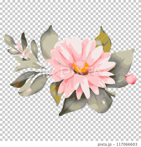 Pink gerbera flower bouquet 117066603