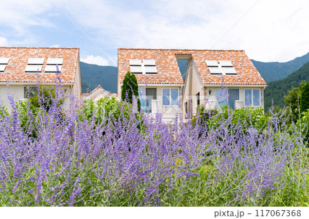 山梨県富士河口湖町　夏の大石公園 117067368