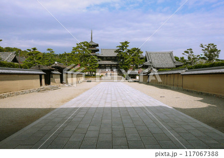 世界遺産の法隆寺/中門の正面/奈良県斑鳩町 世界遺産の法隆寺/中門の正面/奈良県斑鳩町 117067388