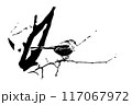 エナガ（ポスタライズ） 117067972