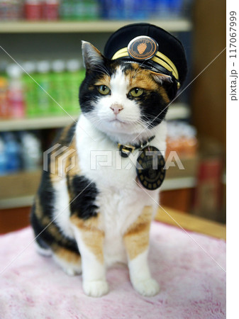 たま駅長 執行役員 たま駅長 執行役員 117067999