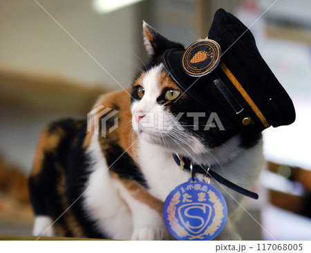 たま駅長 スーパー駅長 たま駅長 スーパー駅長 117068005