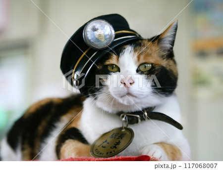 たま駅長　貴志駅改装前 117068007