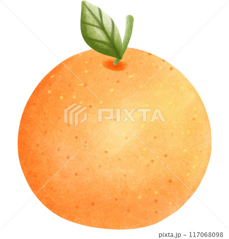 This animal is called a capybara This animal is called a capybara 117068098